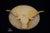 Longhorn (Small)
